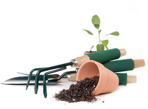 Gardening pot and tools